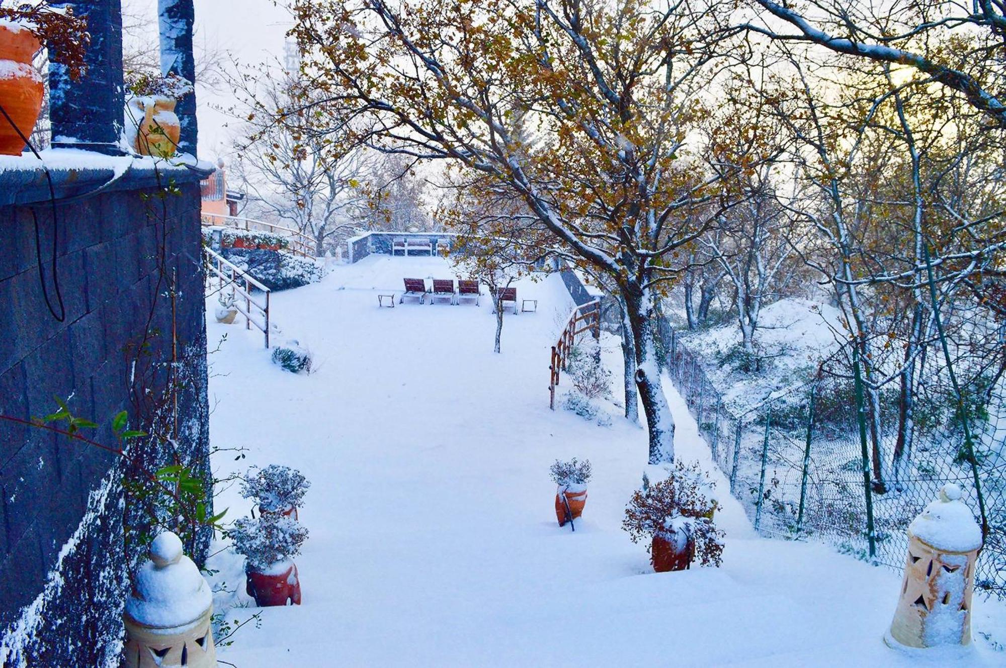 Villa Del Gelso Chalet Nel Parco Delletna マスカリ エクステリア 写真